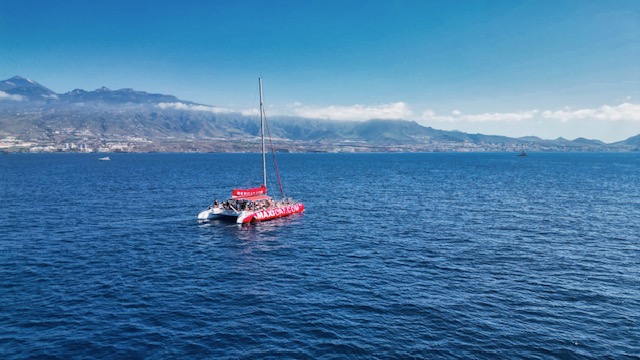 Barco MaxiCat