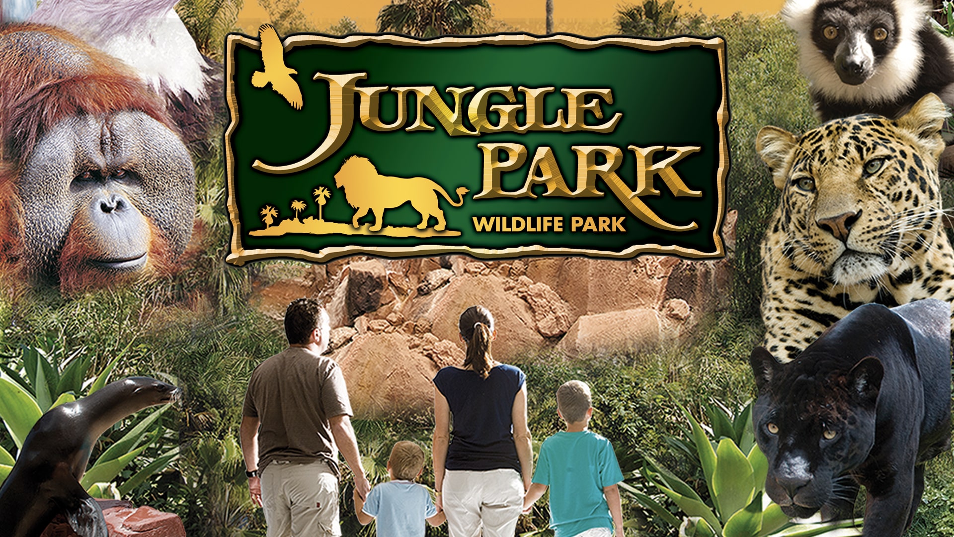 Jungle Park 
